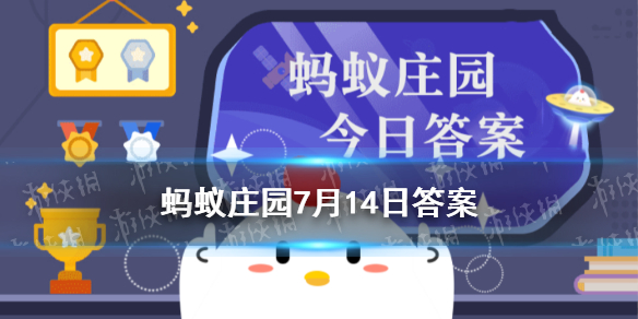 刚烹饪出来的热菜蚂蚁庄园