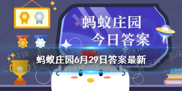 葡萄酒蚂蚁庄园
