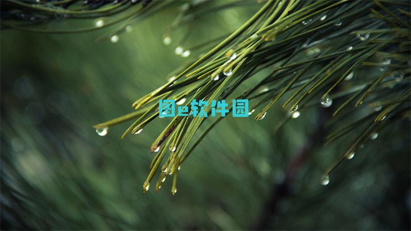 自在西游公测福利活动一览