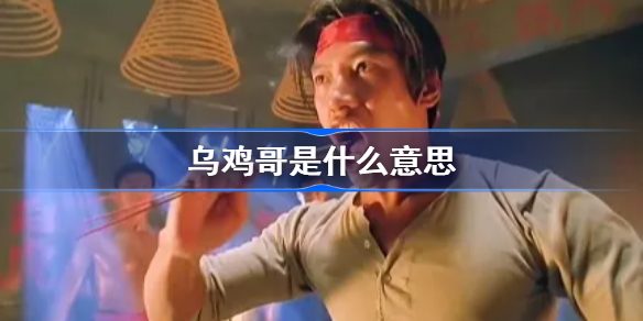乌鸡哥是什么意思