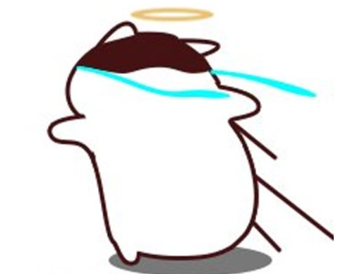 bushi是什么梗