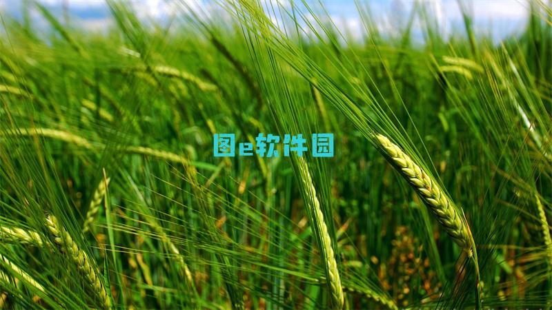 男生说的P站是啥p站网址是什么怎么进