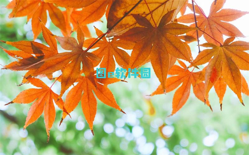 王者荣耀云缨被程咬金咬エロス本孑高清完整版[有效]观看链接WWW