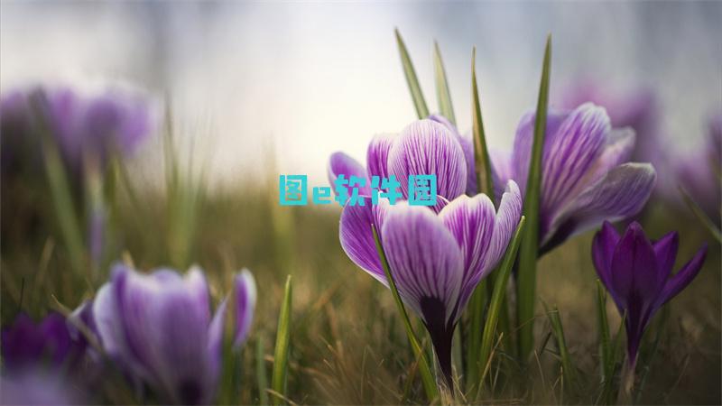 虚拟货币平台关闭是不是诈骗（虚拟货币平台关闭是不是诈骗了）