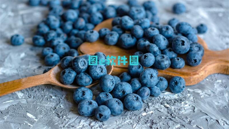 e站网址是多少