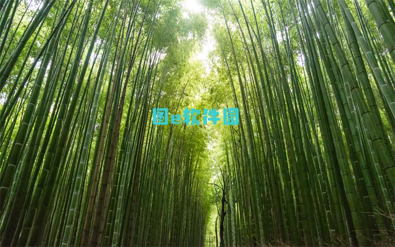 上海ccg2023什么时候开始上海ccg2023时间介绍