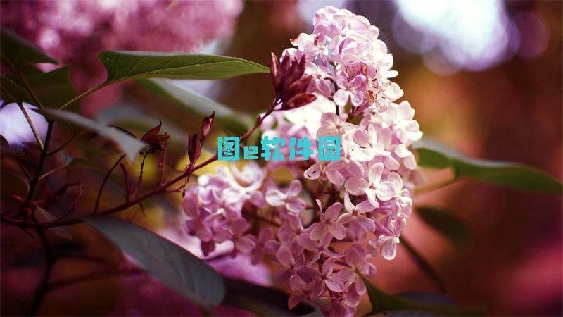 一坤年是什么意思一坤年出处及梗文化解释