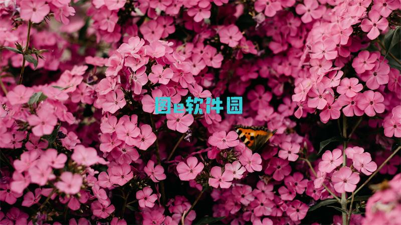 迷宫黑暗大洞与自由之街艾尔本最强技能攻略