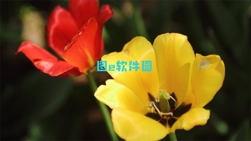 守卫剑阁130自定义隐藏英雄密码大全