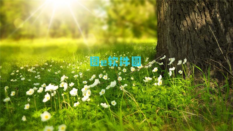 《大多数》游戏快速刷人缘攻略