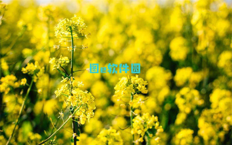 汉字神操作二加一笔变新字通关攻略