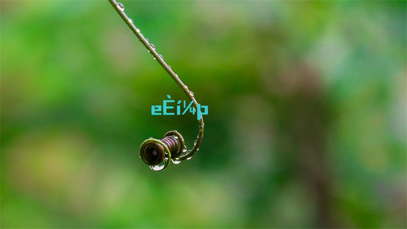 王者荣耀云缨翻白眼流口水图片