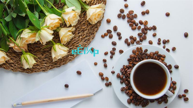 太阁立志传5结婚攻略