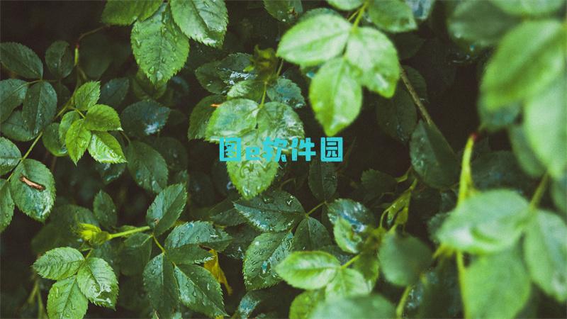 原神32版本复刻角色一览