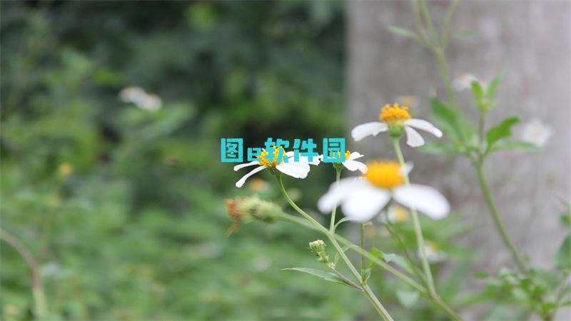 密室大逃脱第五季什么时候播出密室大逃脱第五季几月几日上映