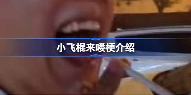 小飞棍来喽什么梗