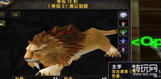 魔兽世界猎人必抓宝宝大全_魔兽世界猎人宠物推荐有哪些
