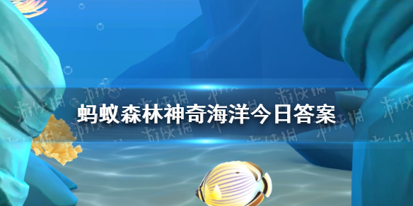 神奇海洋珊瑚妈妈我国哪位科学家被称为珊瑚妈妈