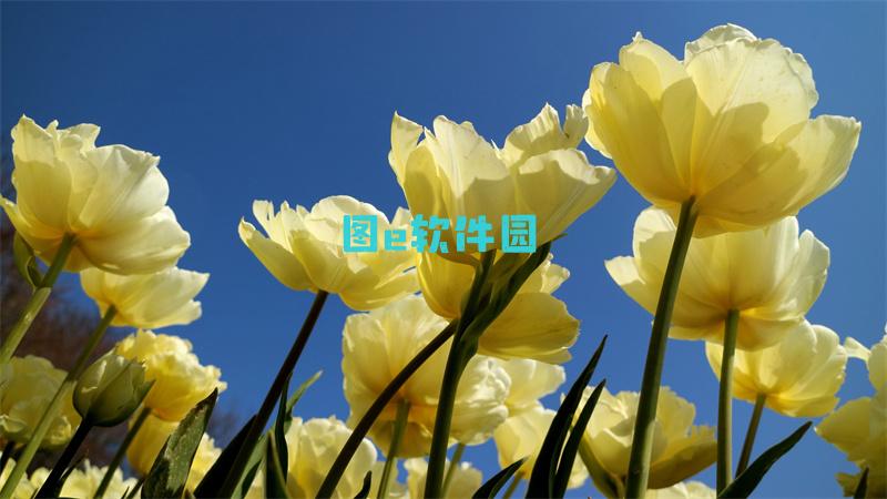 我的世界天启无尽幻境怎么玩天启无尽幻境玩法攻略