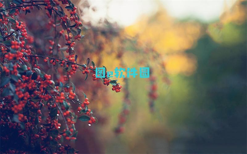 哦啊啊哎哎什么意思哦啊啊哎哎梗介绍