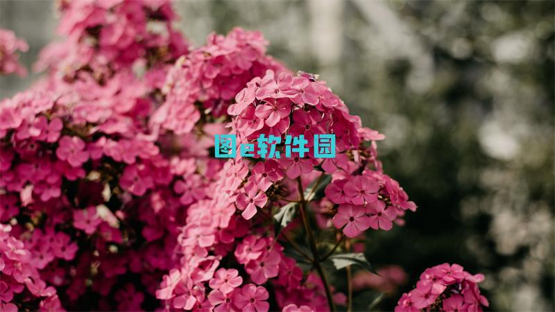 造梦西游4手机版攻略造梦西游4手游怎么玩