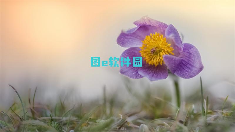 鬼灭之刃荡漾的祢豆子全新章节中文BD高清完整版在线播放地址