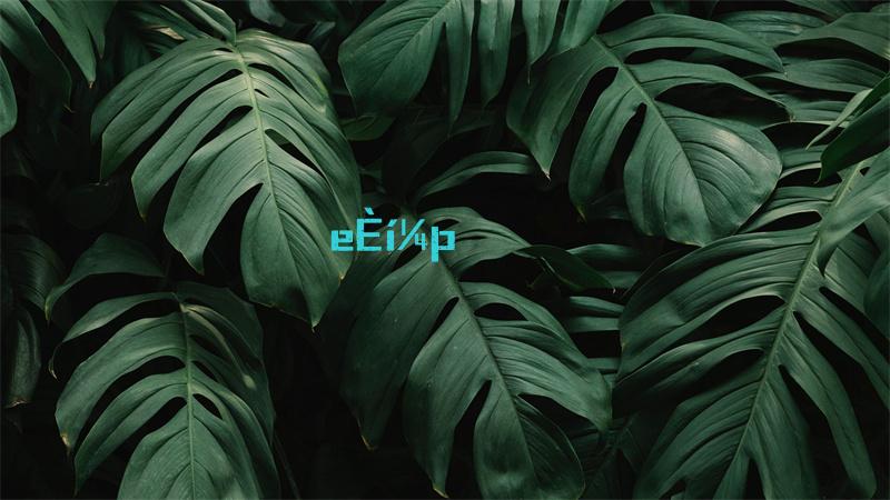 原神37前瞻节目直播时间及兑换码一览