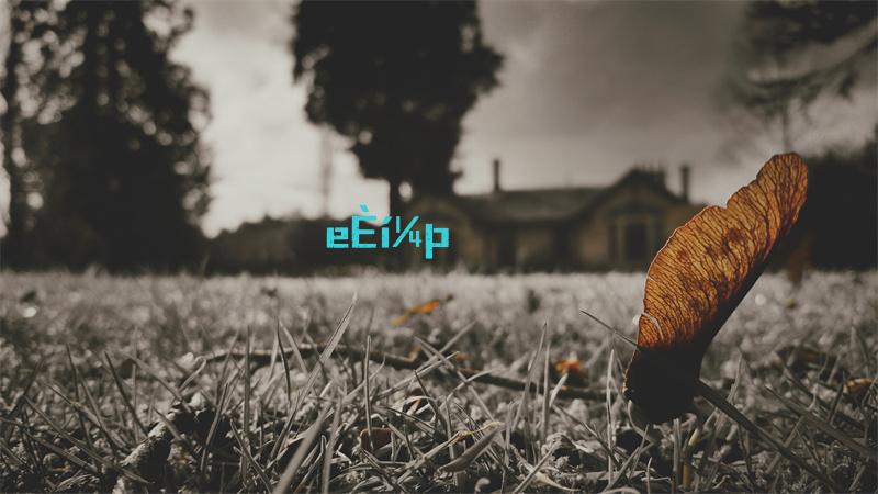 Q网（QBTC）是什么交易所