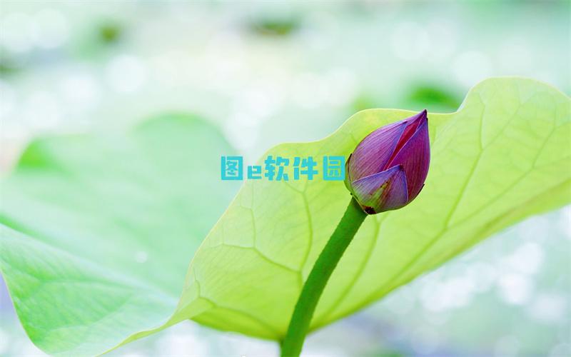 汉军最大的作战单位是（）其首领为大将军或将军及长史等