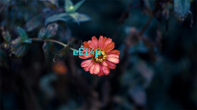 汉字找茬王散装洗脚歌攻略详解