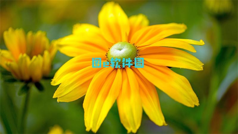 雷电2通关攻略