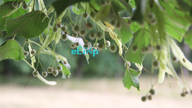 最新软件库合集资料网站