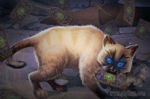 焊接小猫在哪里抓