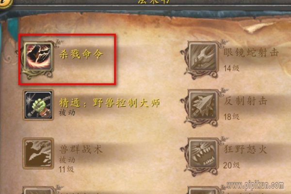 杀戮命令