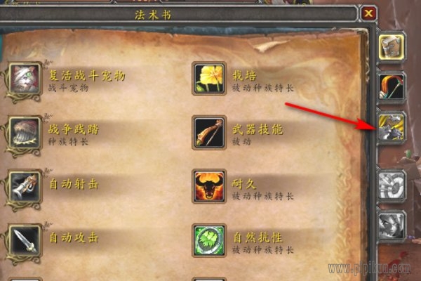 杀戮命令