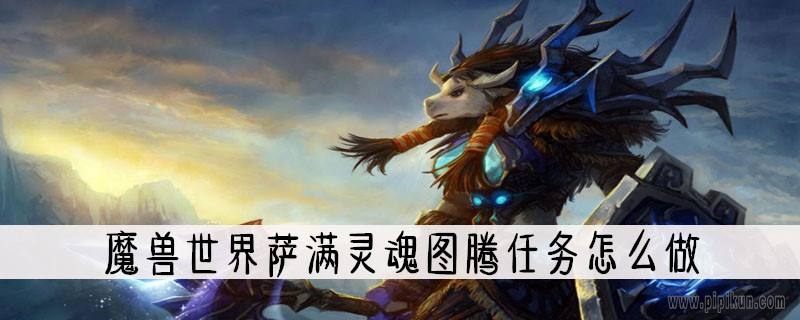 灵魂图腾任务在哪交