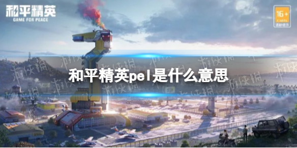 和平精英pel是什么意思