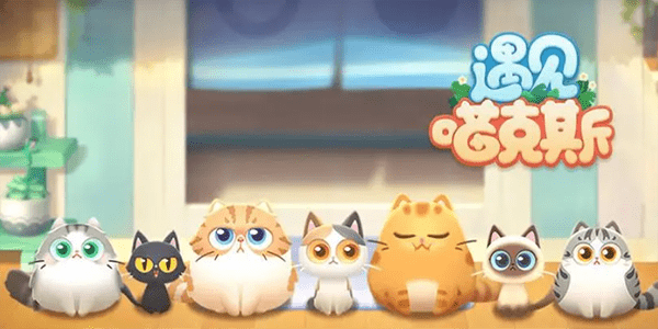 遇见喵克斯猫粮在哪买