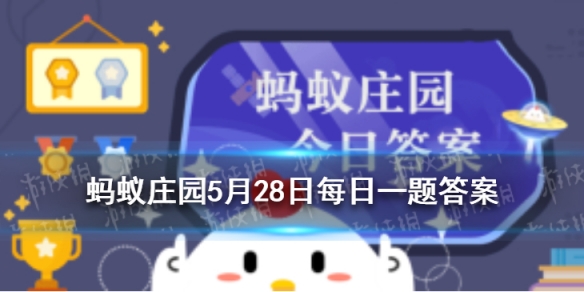三字经中子不学蚂蚁庄园