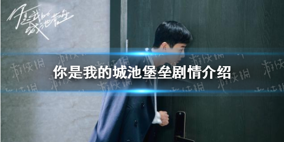 你是我的城池堡垒剧情介绍