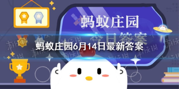 蚂蚁庄园粽子下锅时