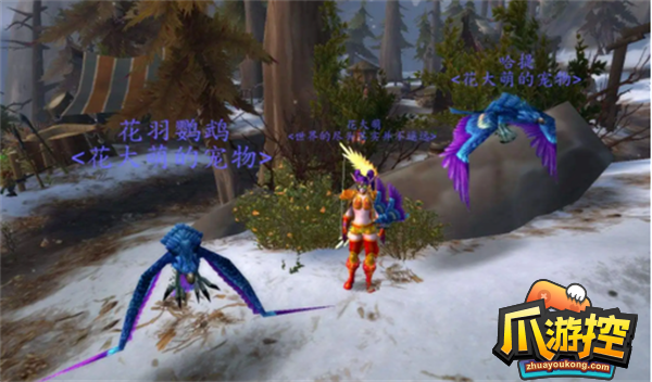 魔兽世界花羽鹦鹉在哪刷