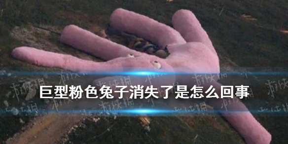 巨型粉色兔子的消失是怎么回事
