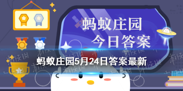 李白的好友是王勃还是杜甫