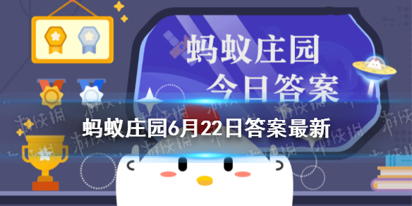 楚河汉界遗迹蚂蚁庄园