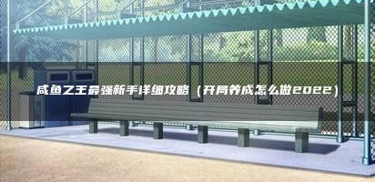 咸鱼之王最强新手详细攻略大全
