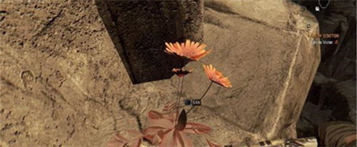消逝的光芒十大神器位置图及获取方式