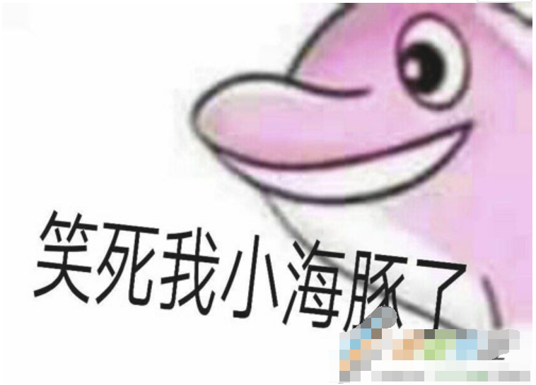 白海豚是什么梗