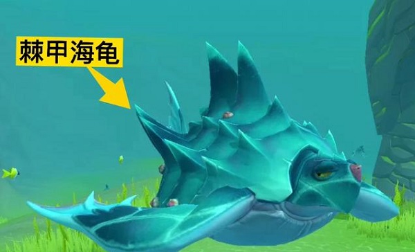 创造与魔法鳞甲海龟饲料