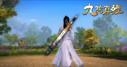九阴真经怎么刺探
